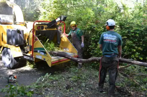 tree services Berryville